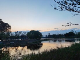 湖边夕阳