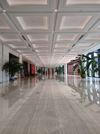 大厅走廊吊顶绿植