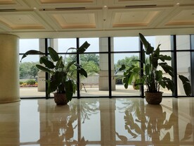 大厅玻璃绿植