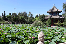 保定古莲花池
