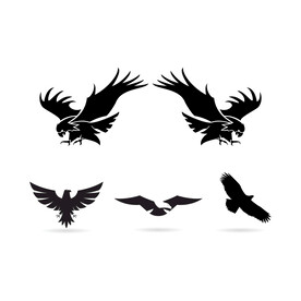 老鹰图标图片