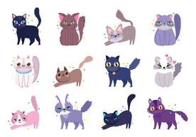 卡通猫
