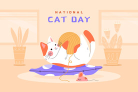 卡通猫