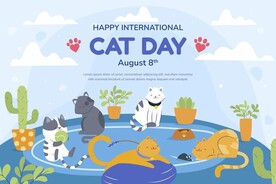 卡通猫
