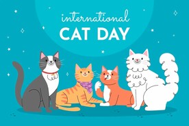 卡通猫