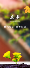 立秋