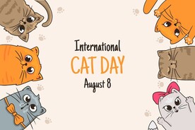 卡通猫