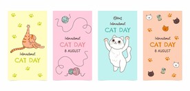 卡通猫