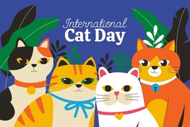 卡通猫