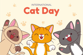 卡通猫