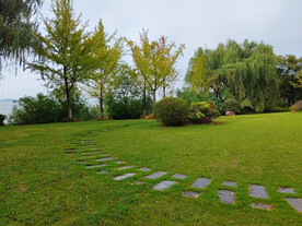 草坪草地石阶