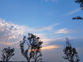 鱼鳞云晚霞