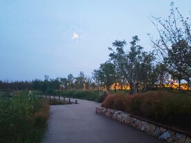 湿地公园旅游观光步道夜景