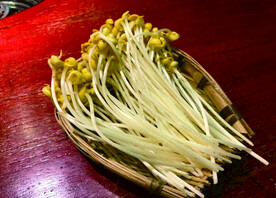 黄豆芽