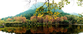 贵阳黔灵山公园