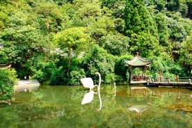 贵阳黔灵山公园
