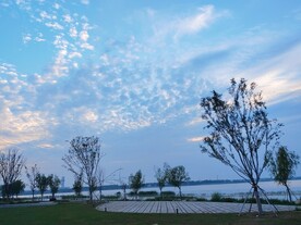 湖边树木晚霞鱼鳞云