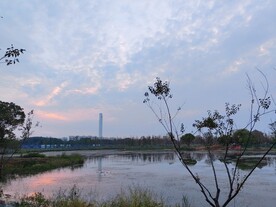湖边晚霞小树
