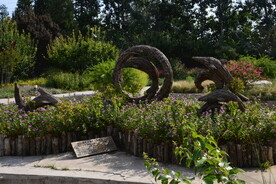公园风景