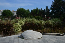 公园风景