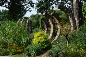 公园风景