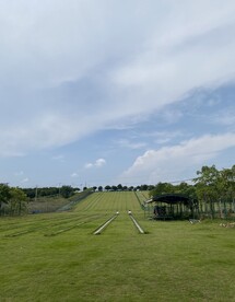 滑草场草地