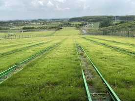 草地滑索