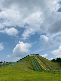 彩虹草地