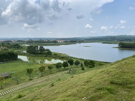 绿色草地