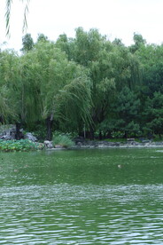公园风景 