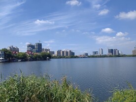 湿地公园湖边城市建筑群