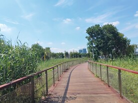 湿地公园健身步道