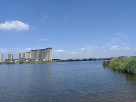 湿地公园湖边建筑群