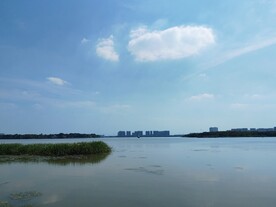 湿地公园白云