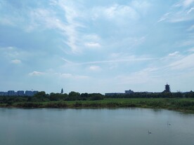 湿地公园湖边宝塔