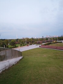 公园绿草地