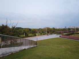 湿地公园草地