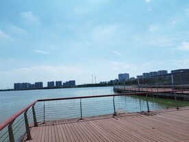 湿地公园湖边观光平台