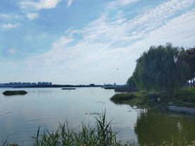 湿地公园风光景色