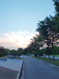 傍晚的公路