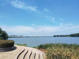 湿地公园湖边台阶