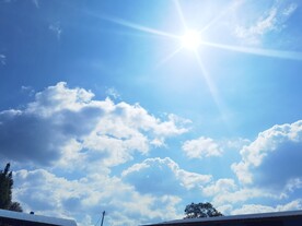 茶山 茶树 白云 阳光