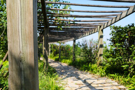 	 防腐木木质藤架 