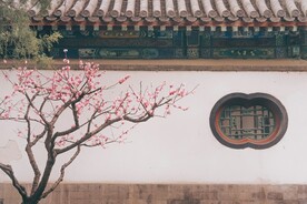 中国风庭院摄影