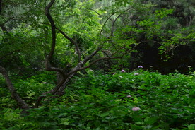 公园风景 