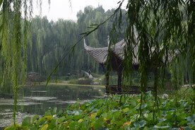公园风景 