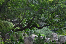 陶然亭风景 