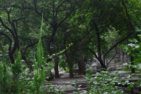 陶然亭风景 