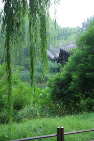 公园风景 