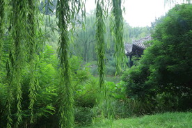 陶然亭风景  